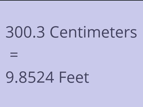 300.3 CM TO FEET