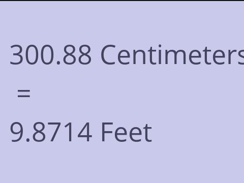 300.88 CM TO FEET