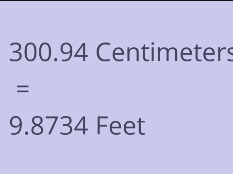 300.94 CM TO FEET