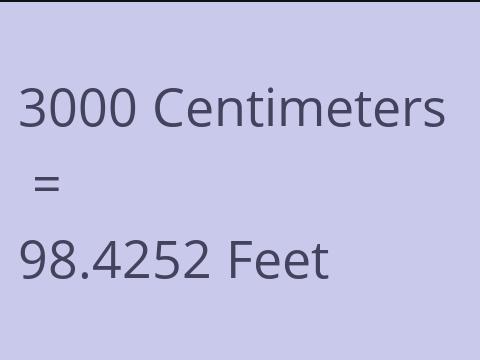 3000 CM TO FEET