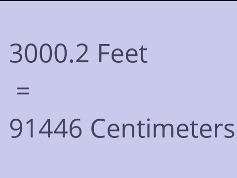 3000.2 FEET TO CM