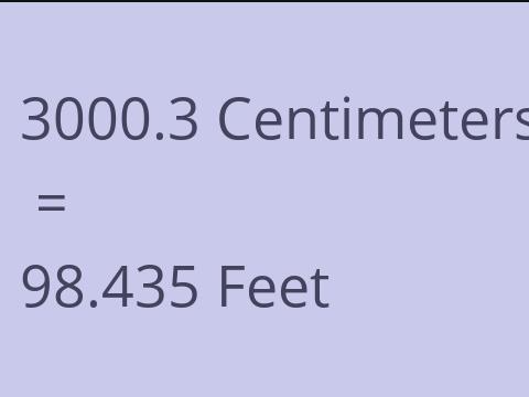 3000.3 CM TO FEET