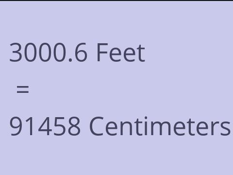 3000.6 FEET TO CM