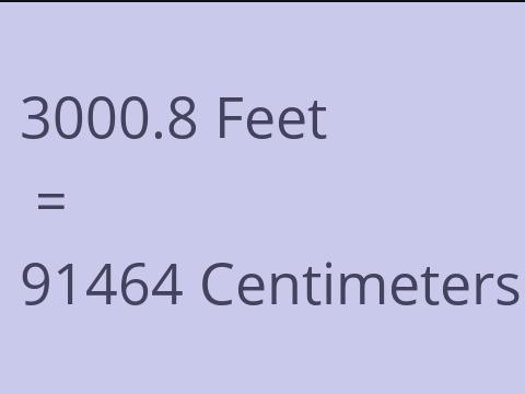 3000.8 FEET TO CM