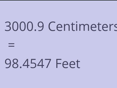 3000.9 CM TO FEET