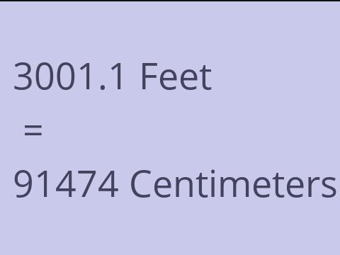3001.1 FEET TO CM