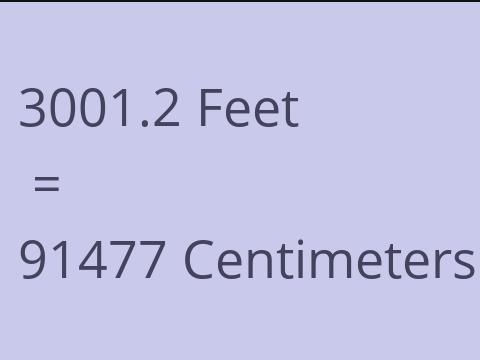 3001.2 FEET TO CM