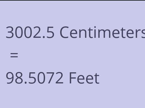 3002.5 CM TO FEET