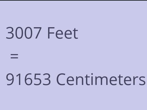 3007 FEET TO CM