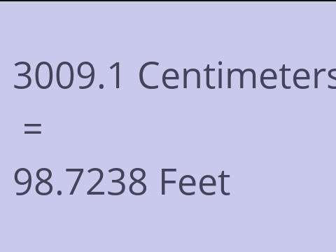 3009.1 CM TO FEET
