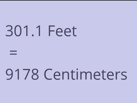 301.1 FEET TO CM