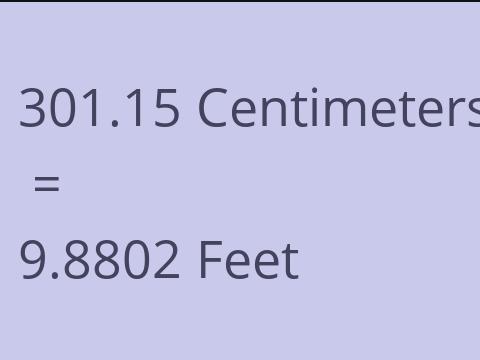 301.15 CM TO FEET