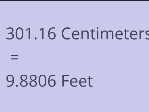 301.16 CM TO FEET