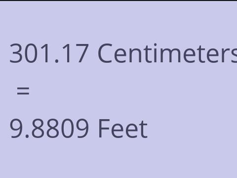 301.17 CM TO FEET