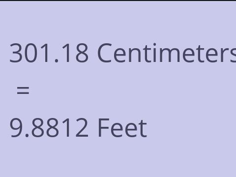 301.18 CM TO FEET