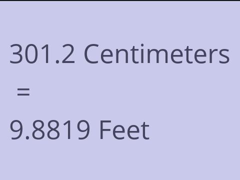 301.2 CM TO FEET