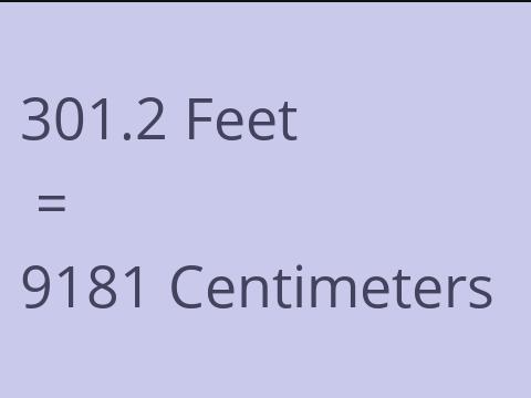 301.2 FEET TO CM