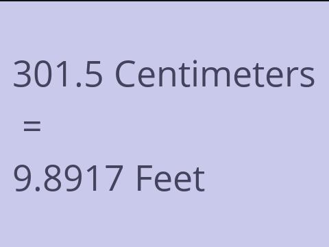 301.5 CM TO FEET