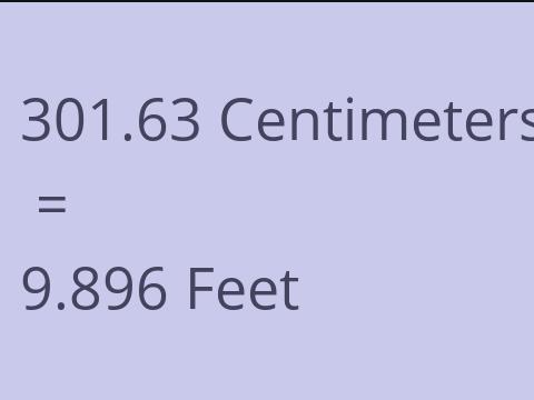 301.63 CM TO FEET