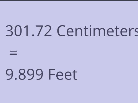 301.72 CM TO FEET