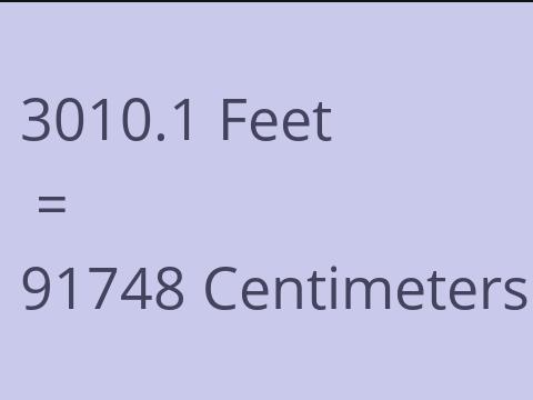 3010.1 FEET TO CM
