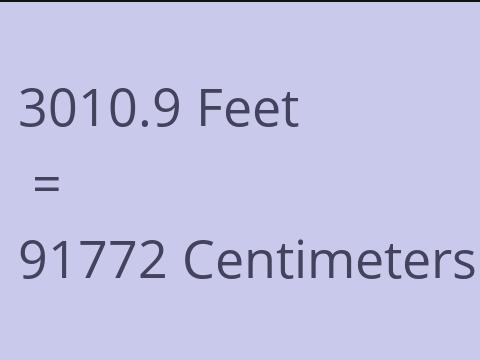 3010.9 FEET TO CM