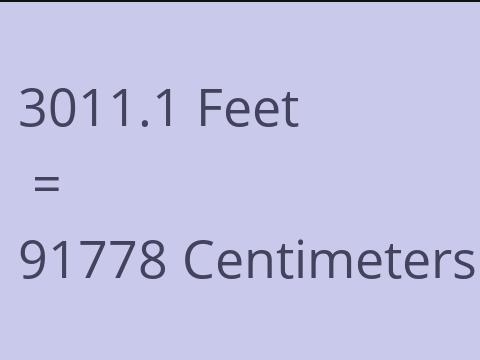 3011.1 FEET TO CM