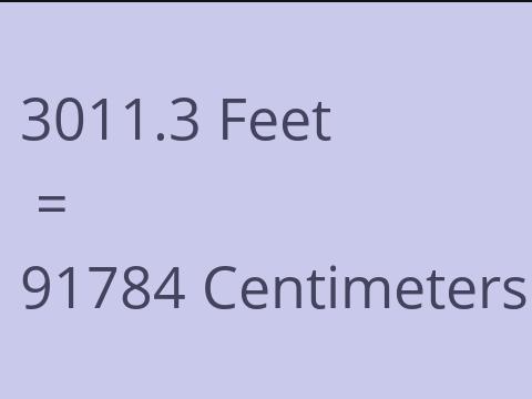 3011.3 FEET TO CM