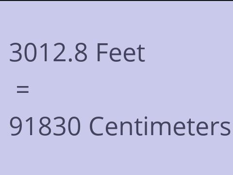 3012.8 FEET TO CM