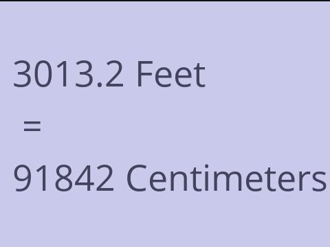 3013.2 FEET TO CM