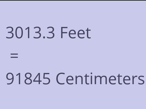 3013.3 FEET TO CM