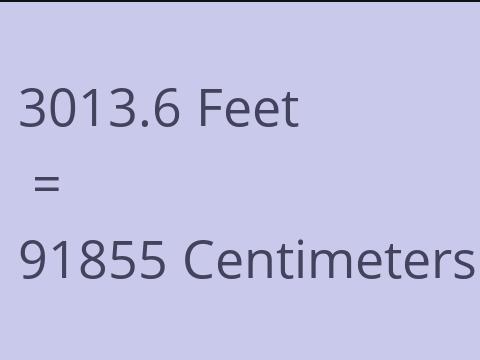 3013.6 FEET TO CM
