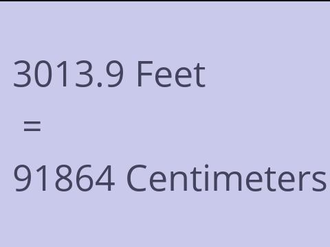 3013.9 FEET TO CM