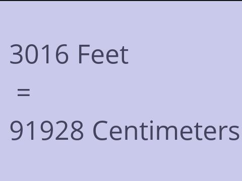 3016 FEET TO CM