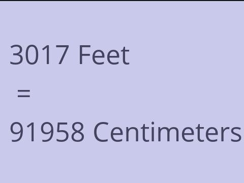 3017 FEET TO CM