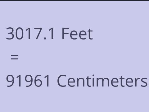 3017.1 FEET TO CM