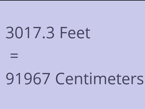 3017.3 FEET TO CM