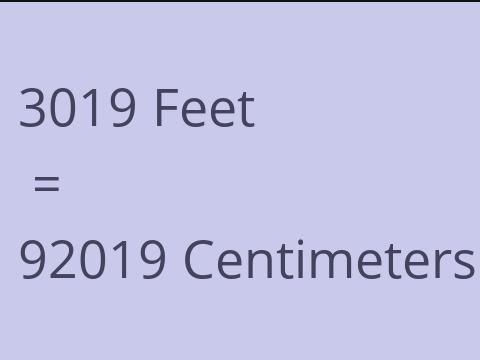 3019 FEET TO CM