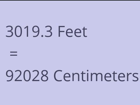 3019.3 FEET TO CM