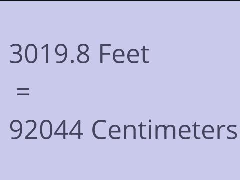 3019.8 FEET TO CM