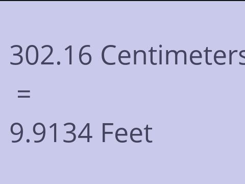 302.16 CM TO FEET