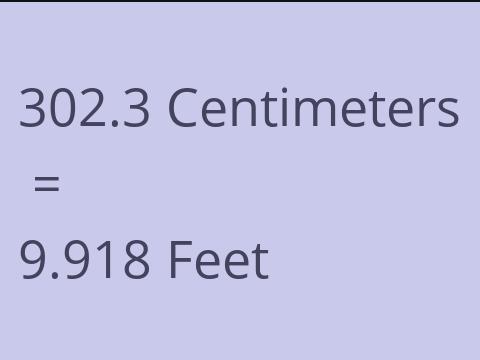 302.3 CM TO FEET