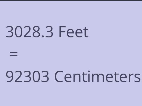 3028.3 FEET TO CM