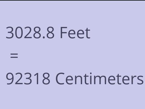 3028.8 FEET TO CM