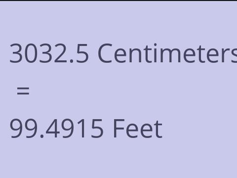 3032.5 CM TO FEET