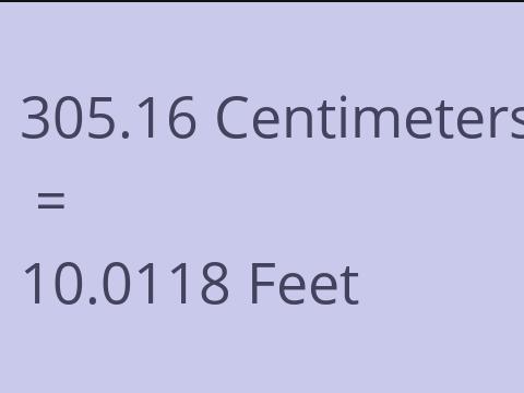 305.16 CM TO FEET