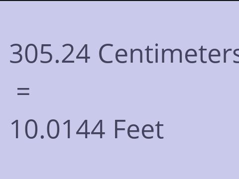 305.24 CM TO FEET