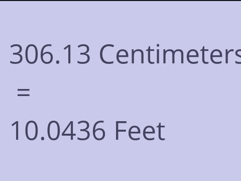 306.13 CM TO FEET