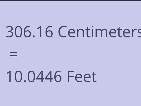 306.16 CM TO FEET