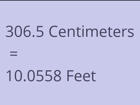 306.5 CM TO FEET